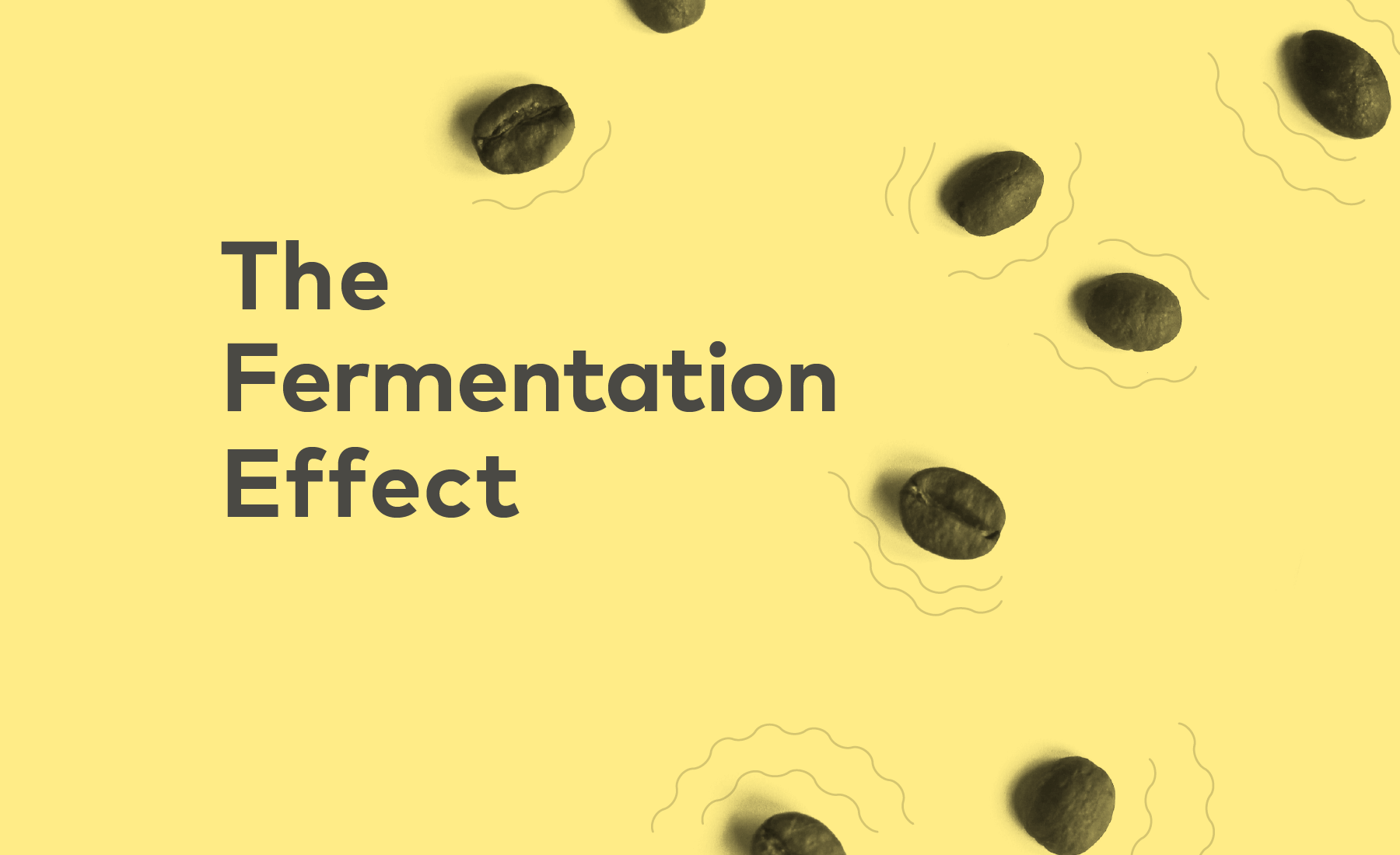 The Fermentation Effect